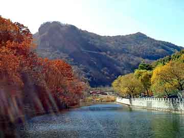 管家婆黑白马报图库，都市风流王